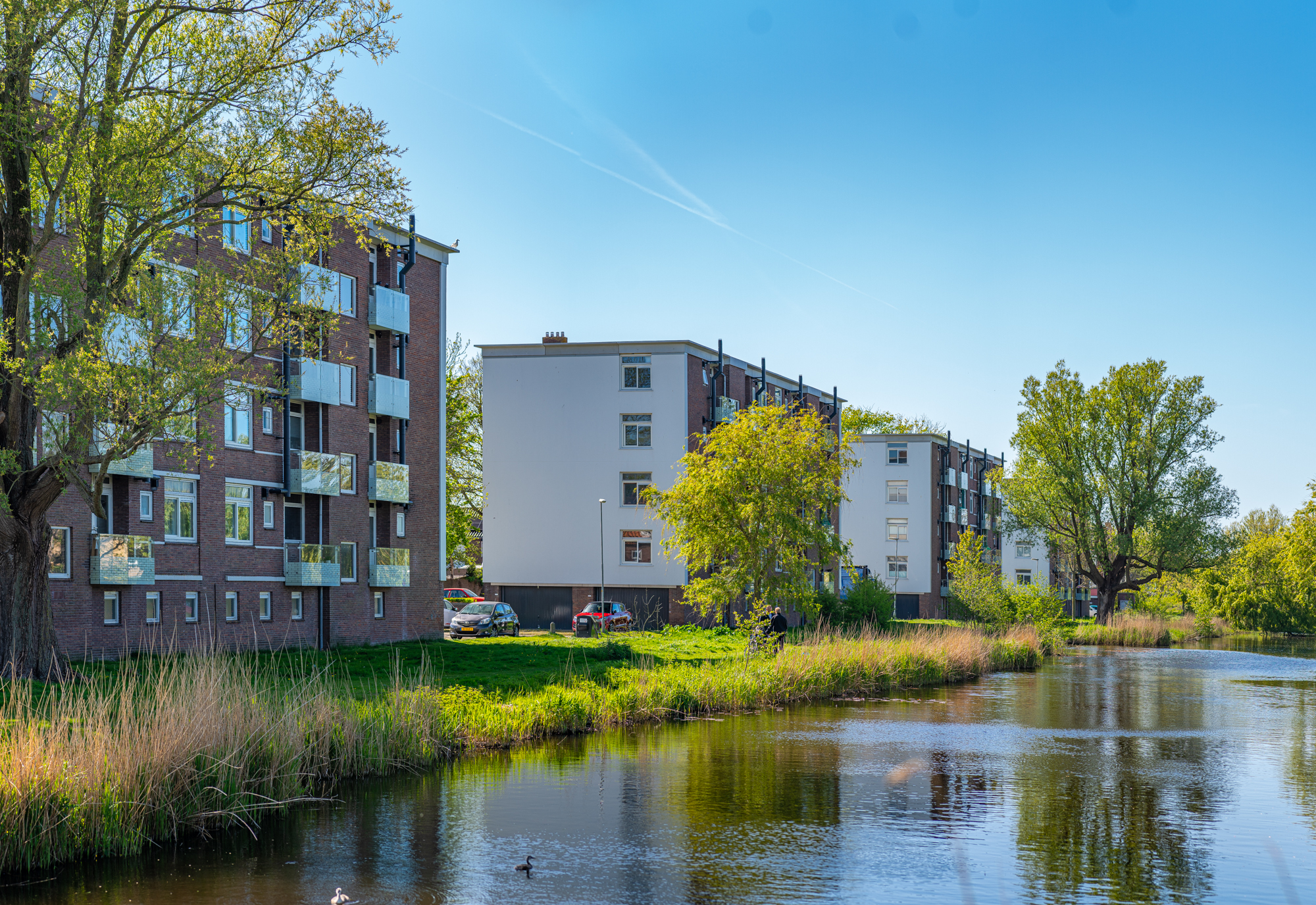 Upgrading portiekwoningen Rijnstraat - Afbeelding 7